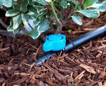 Plantation and Back Garden Drip Irrigation Pipe Connection Kalolary 20P Drip Irrigation Shut Off Valve 16mm PE Straight Drip Valve Shut Off Valve Grade in-Line Barbed Ball Valve for Vegetable Garden